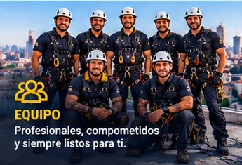Equipo profesional